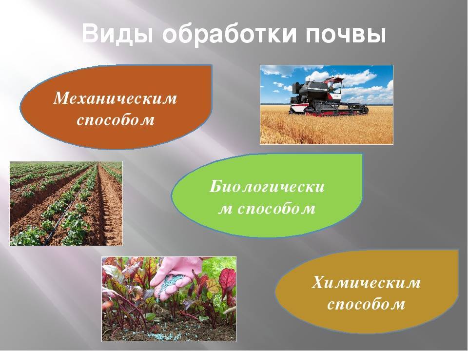 Система обработки почвы. общие вопросы промышленного производства овощей