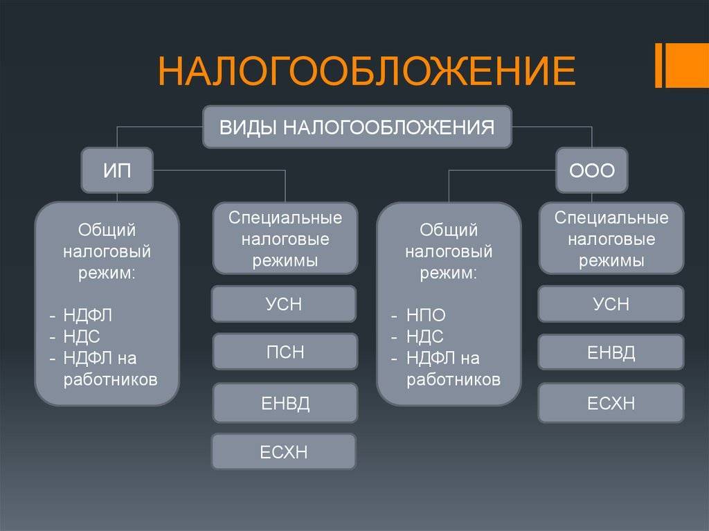 Системы налогообложения: виды, какую выбрать в россии ип или ооо