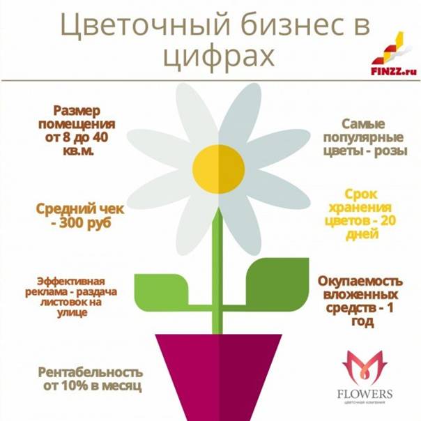 Бизнес план цветочного магазина: с нуля, как составить, примеры расчетов, расходы доходы
