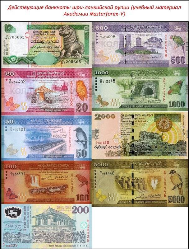 Ланкийская рупия (rs) — официальная валюта шри-ланки на туристер.ру