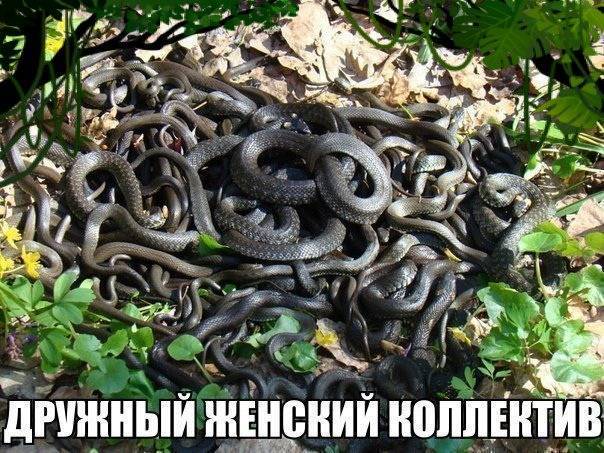 Бог с нами, братья!