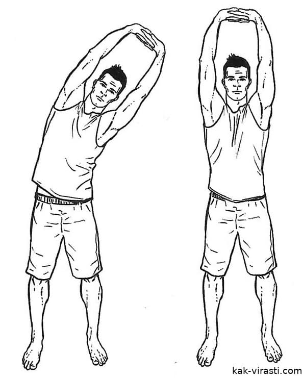 Упражнения для роста тела в высоту — 3 лучшие методики и личный отзыв