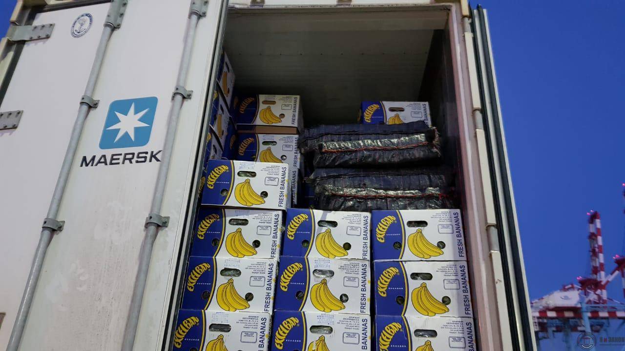 Свой бизнес: перевозка бананов. транспортировка и продажа бананов в россии