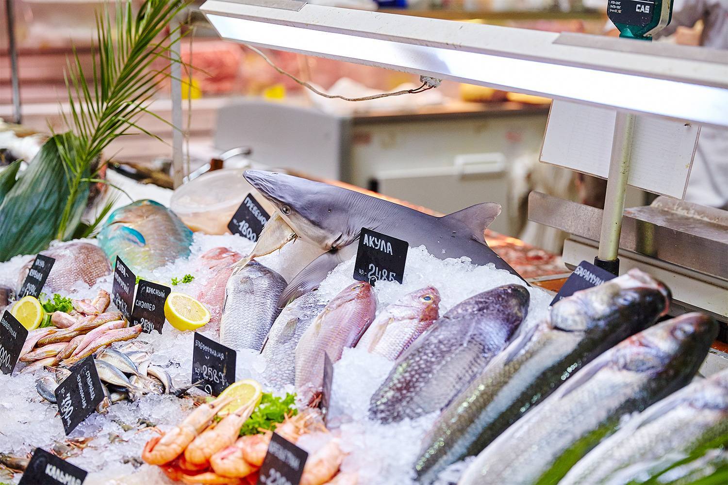 Сколько приносит рыбный ларек? история малого бизнеса по торговле рыбой и морепродуктами