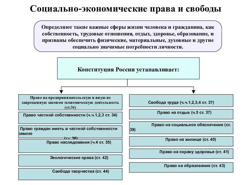Нарушение прав человека в экономической и социальной сферах проект