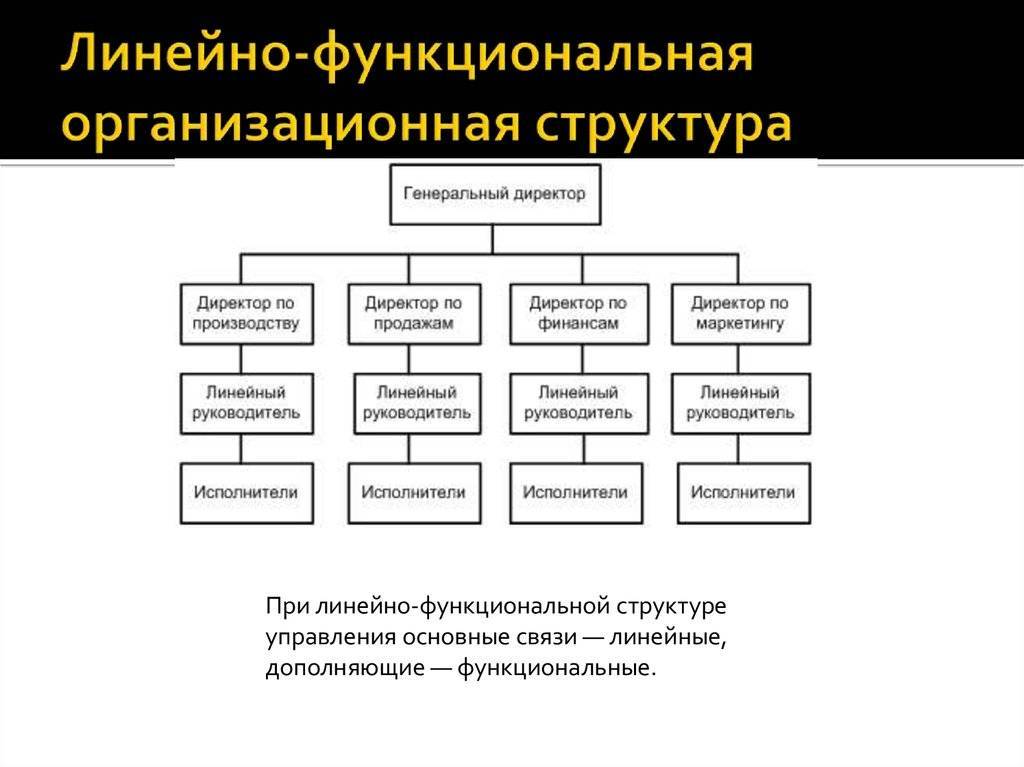 Организационная структура предприятия: понятие и типы