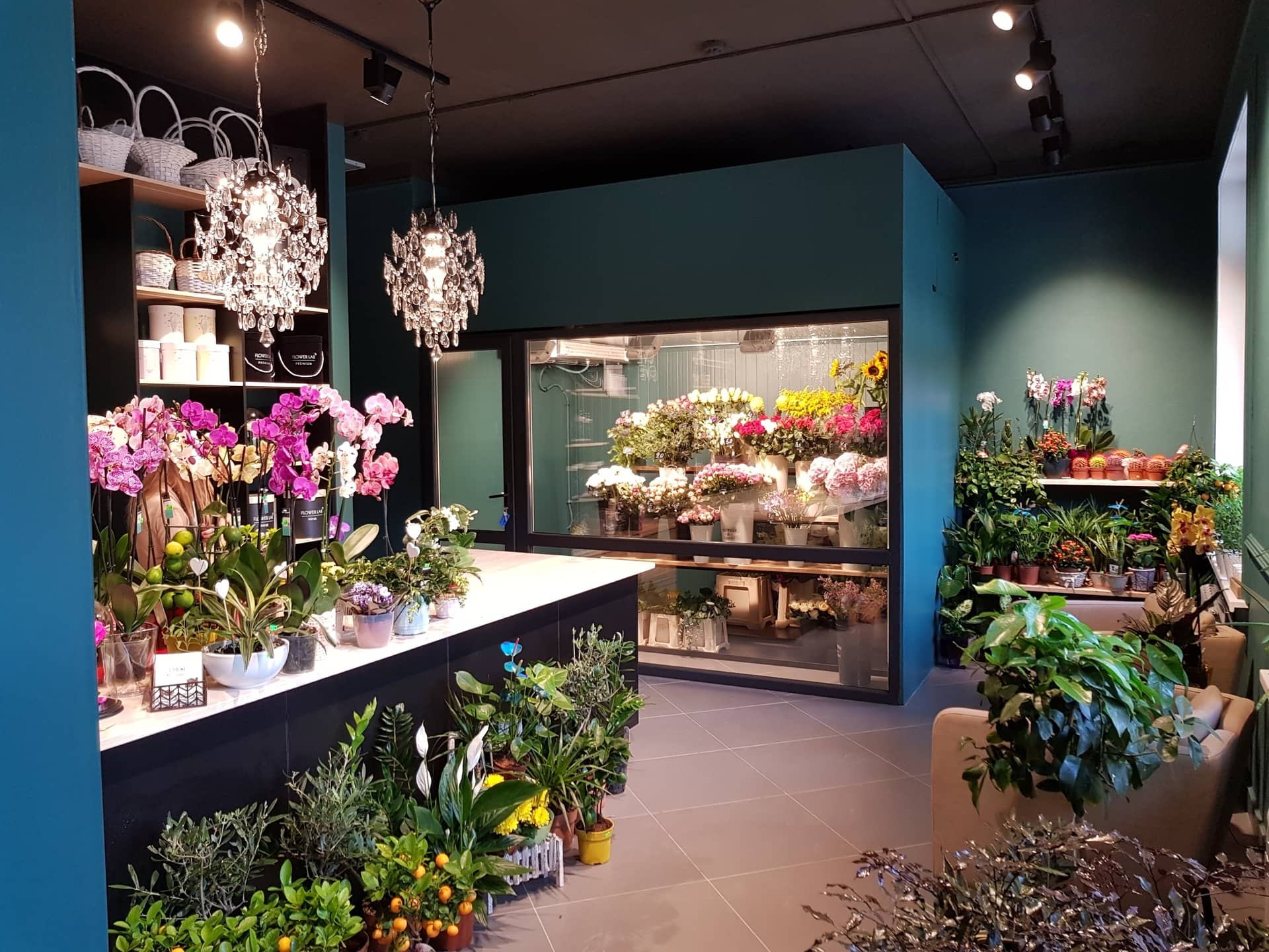 Как открыть цветочный магазин с нуля — пошаговая инструкция для бизнесменов + обзор возможных трудностей