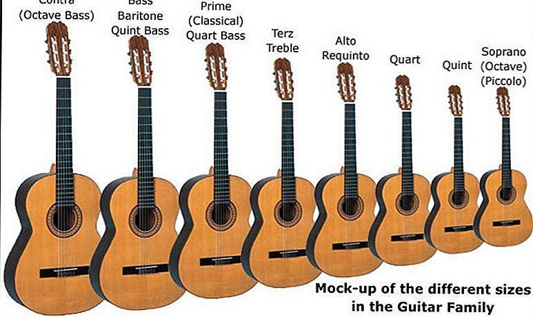 Виды гитар и их названия с фото