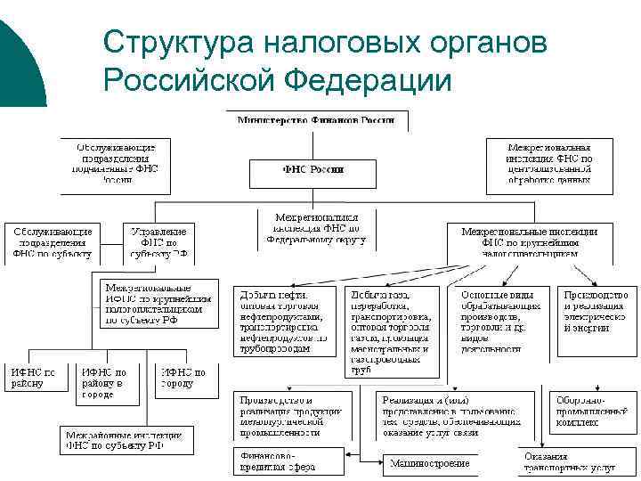 Функции, полномочия и организационная структура фнс россии