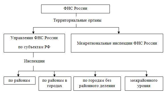 Функции, полномочия и организационная структура фнс россии - бизнес