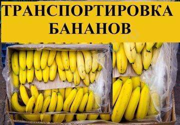 Как везут бананы из эквадора в россию – путешествие банана из эквадора в петербург — тренинг «ораторское искусство»
