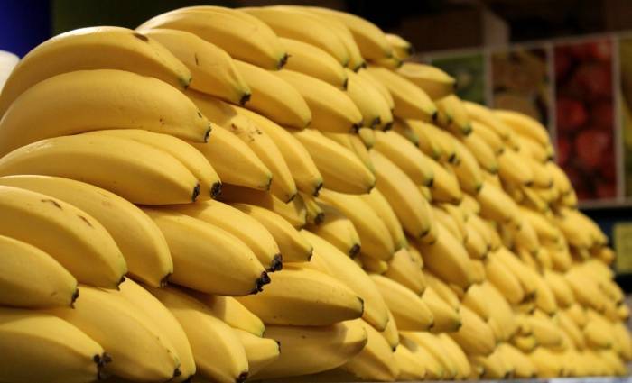 Свой бизнес: перевозка бананов. транспортировка и продажа бананов в россии :: businessman.ru
