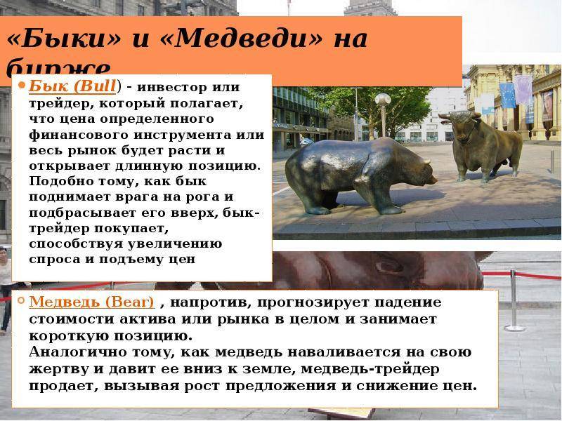 Специальный сленг трейдеров: медведи и быки на бирже и на forex :: businessman.ru