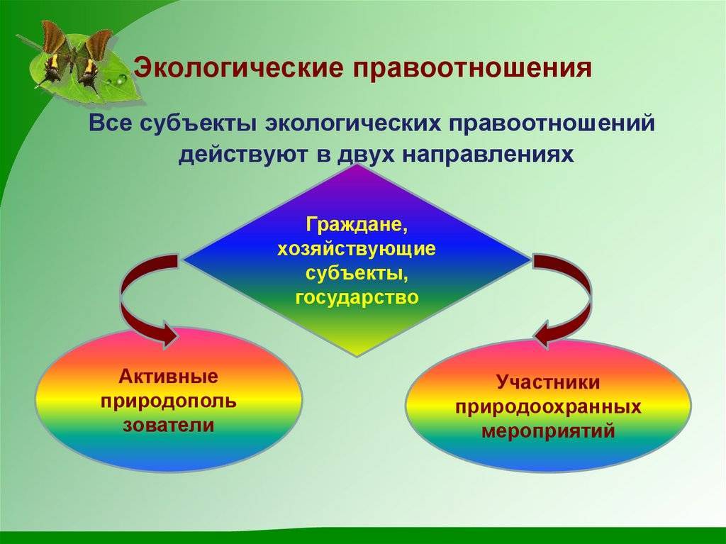 Экологические отношения и экологические правоотношения: понятие, особенности, структура - экологическое право | юрком 74