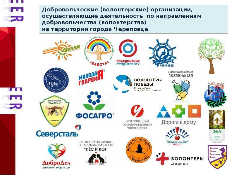 Какие группы волонтеров. Направления деятельности волонтеров в России список. Волонтёрские организации в России и их деятельность список. Волонтерские организации. Волонтёрские ораганизации.