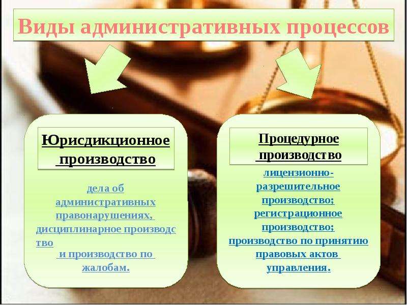Административный процесс: виды, стадии, принципы :: syl.ru