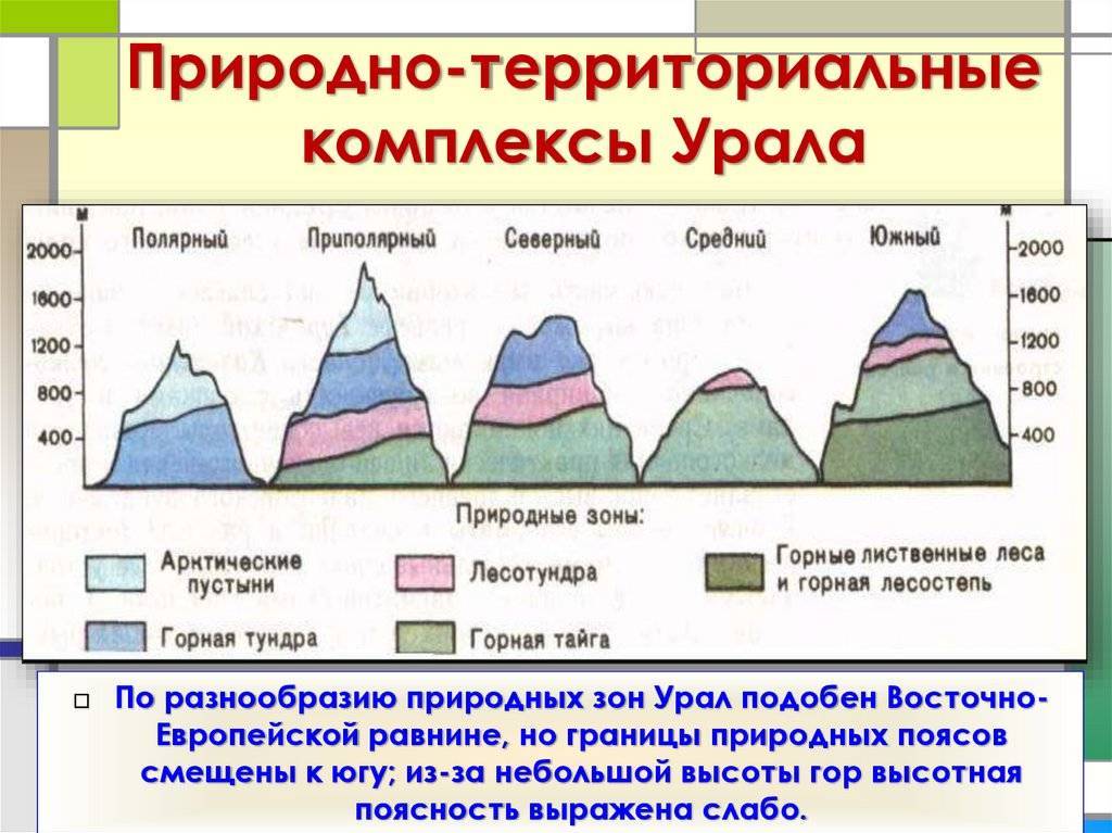 § 21. разнообразие природных комплексов россии