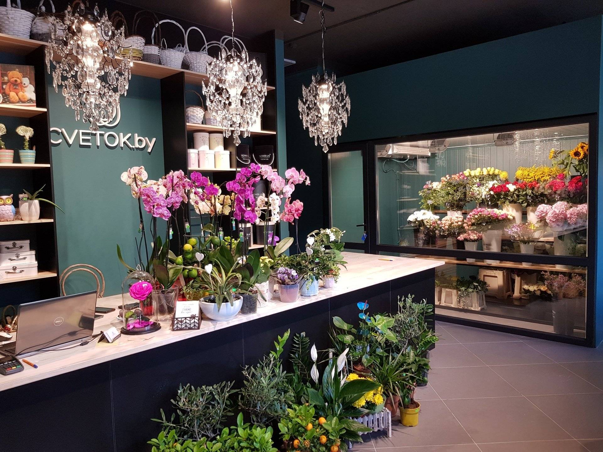 Бизнес на торговле цветами через интернет-магазин (октябрь 2022) — vipidei.com