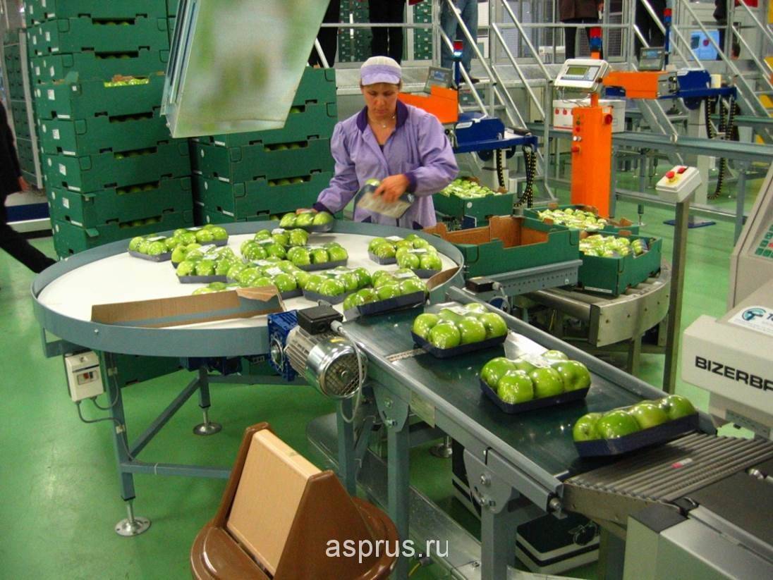 Мини-заводы по переработке фруктов и овощей