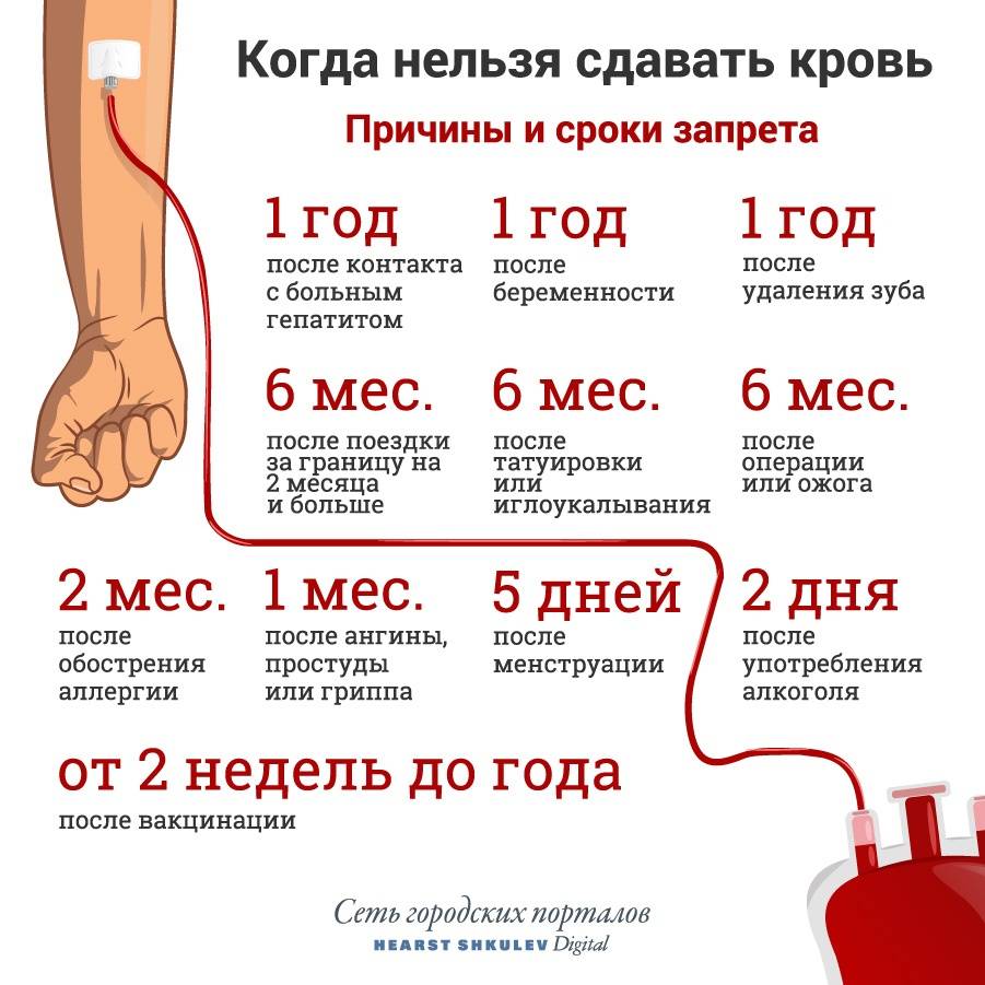 Почетный донор — сколько раз надо сдать кровь, сколько платят в 2019 году