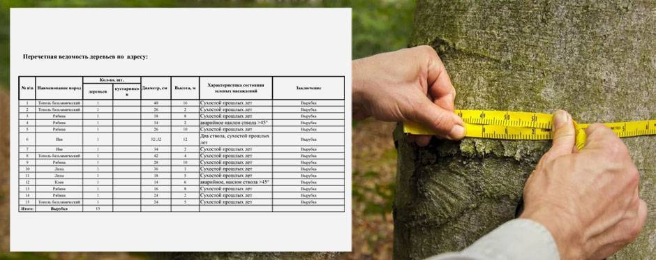 План инвентаризации насаждений