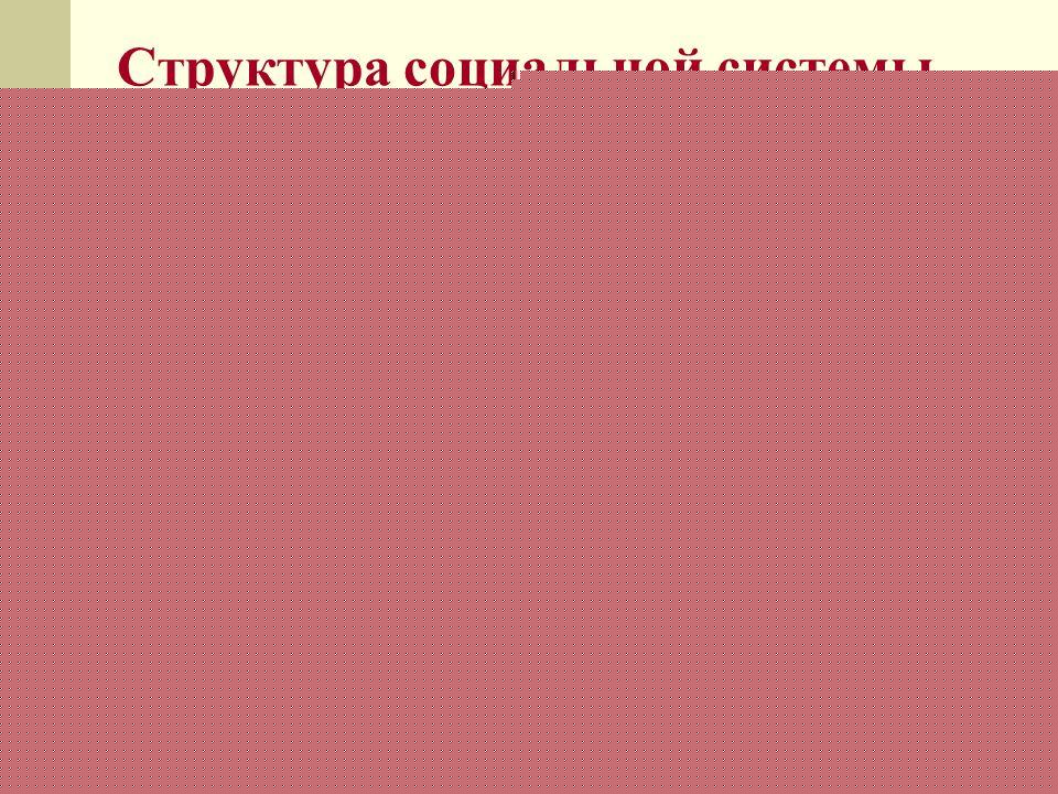Социальная структура