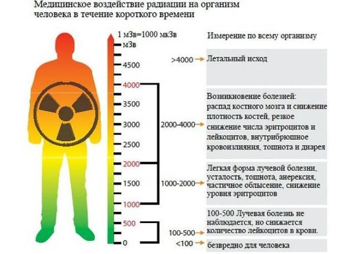 Нормы радиации: в чем измеряется, допустимый радиационный фон для человека