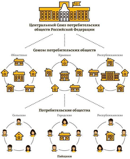 Кооперативная собственность: форма, типы, образование и деление