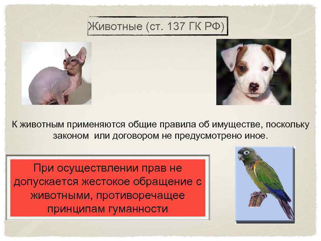 Защита животных в россии