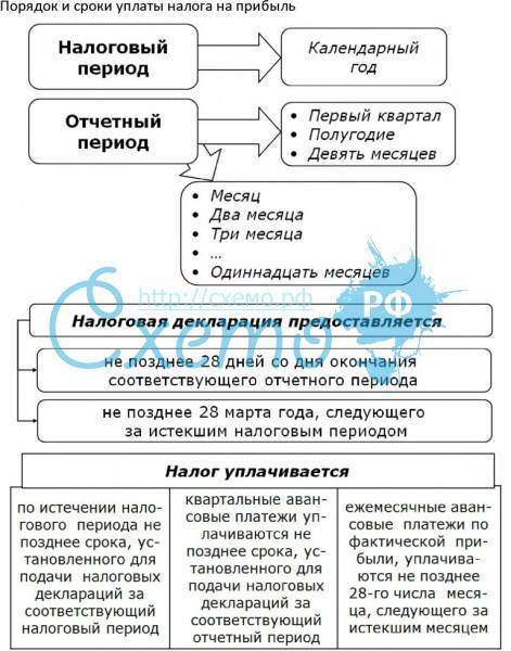 Сроки уплаты налога и представления налоговой декларации по налогу на прибыль организаций – taxslov.ru