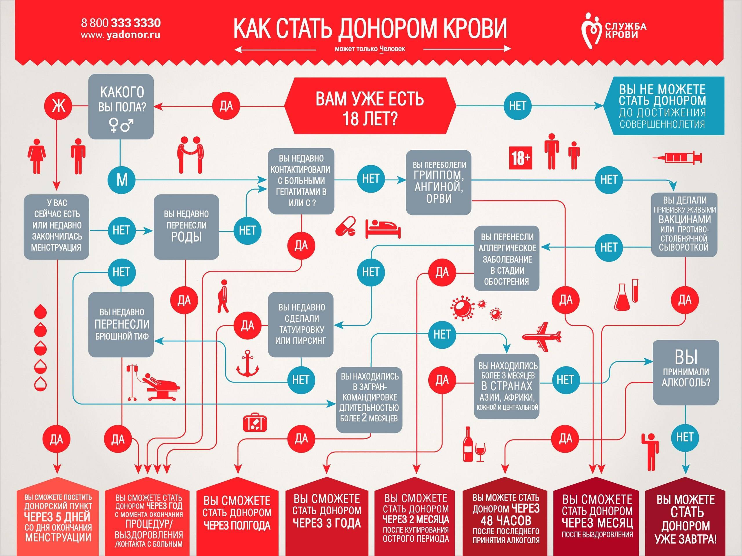 «кровная честь»: как стать донором крови и плазмы в россии - новости медицины