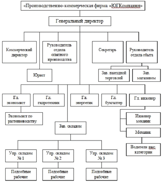 Структура коммерческой службы схема