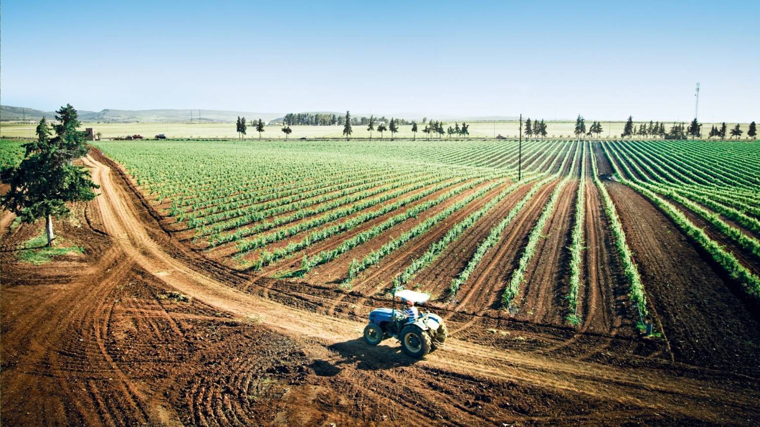Аграрный это. BASF для сельского хозяйства. BASF Agricultural solutions. Сфера сельскохозяйства в Италии. Сельское хозяйство земледелие.