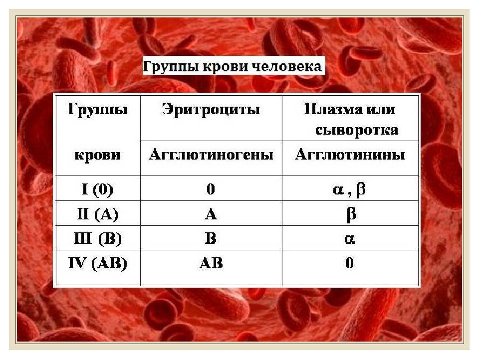 Диета по группе крови (диета п.д'адамо)