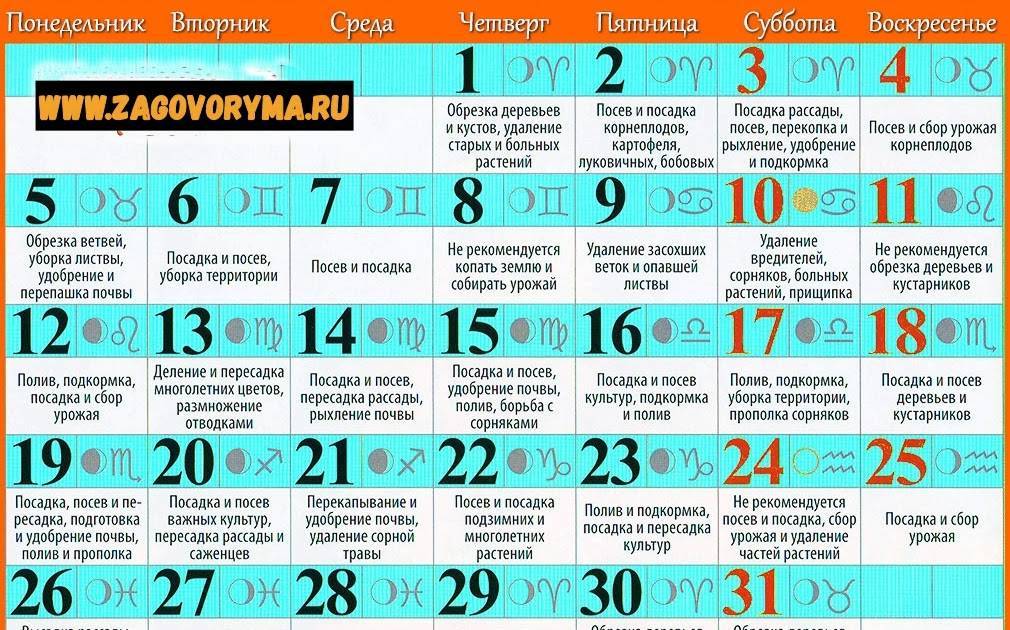 Что ждет представителей разных знаков зодиака в июле 2021 года? | фэн-шуй и непознанное | школажизни.ру