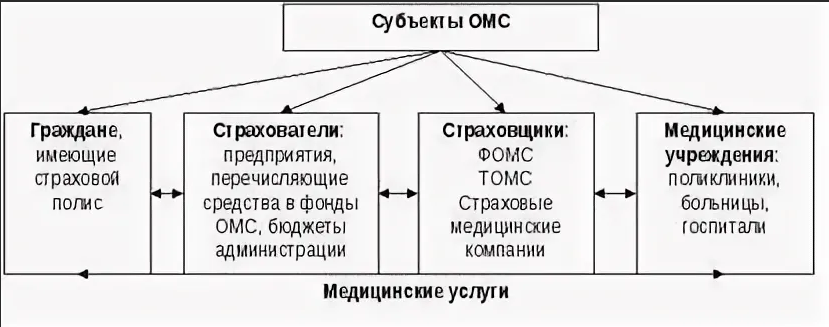 Права и обязанности субъектов обязательного государственного страхования в россии