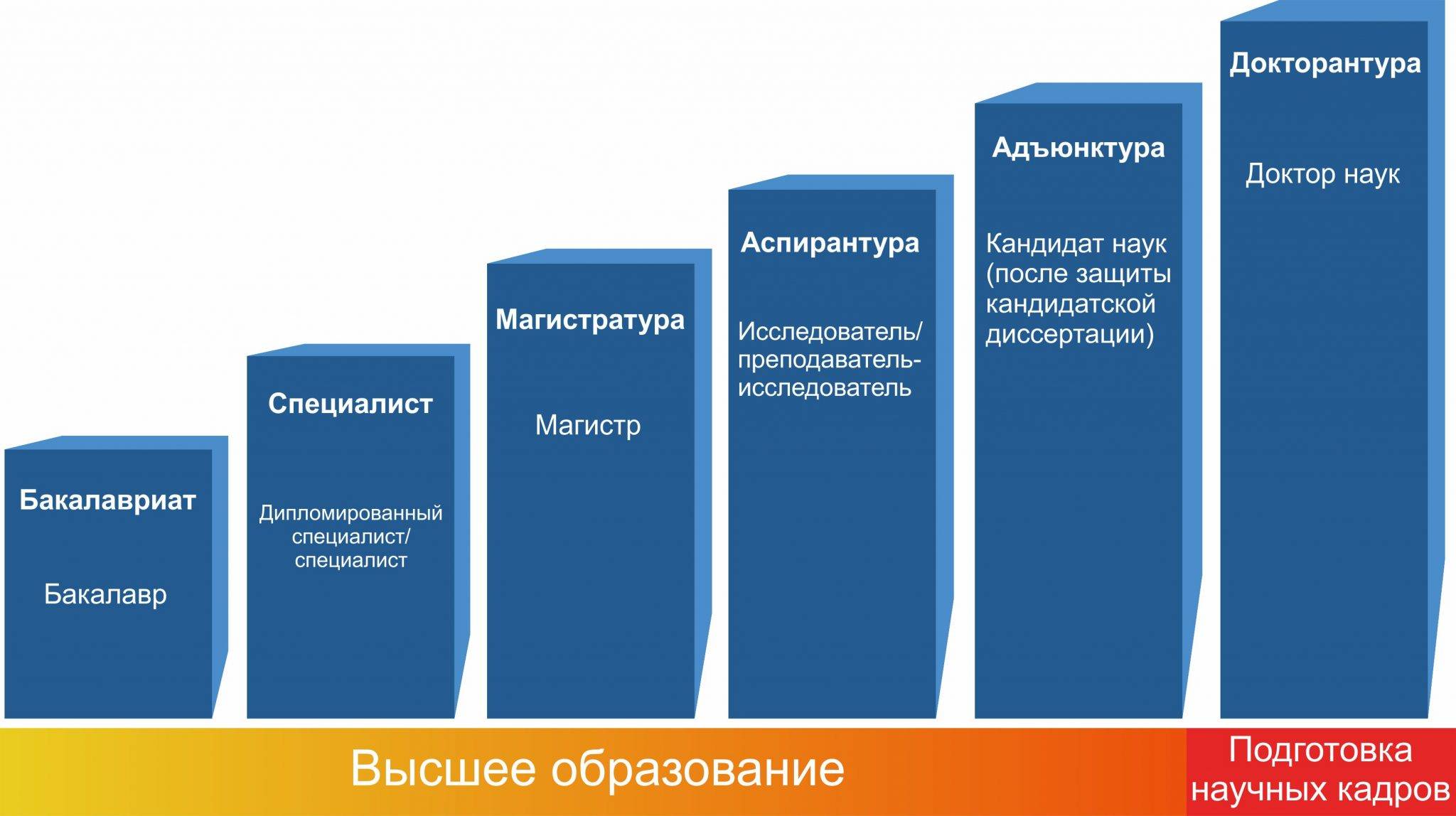 Виды высшего образования в россии: описание, особенности подготовки и отзывы :: syl.ru