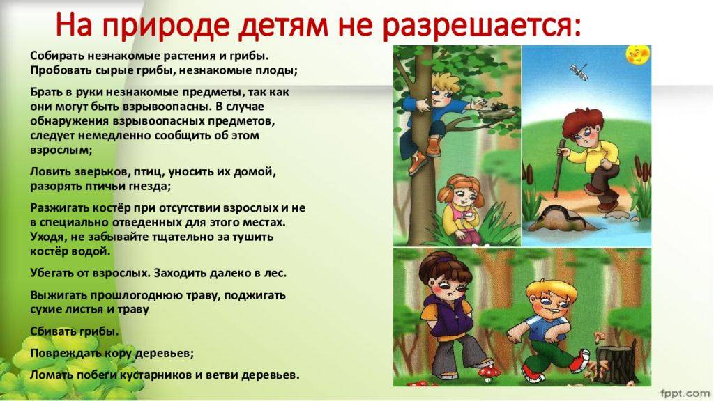 Правила поведения на природе – памятка как вести себя человеку, что нужно соблюдать для детей кратко (3 класс, окружающий мир)