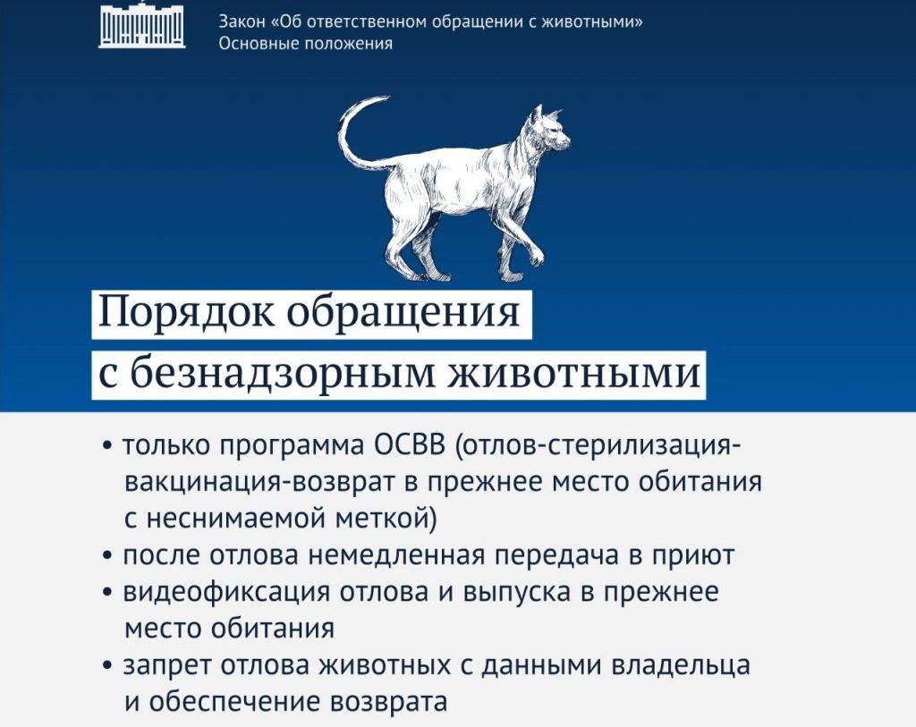 Защита домашних и диких животных в россии