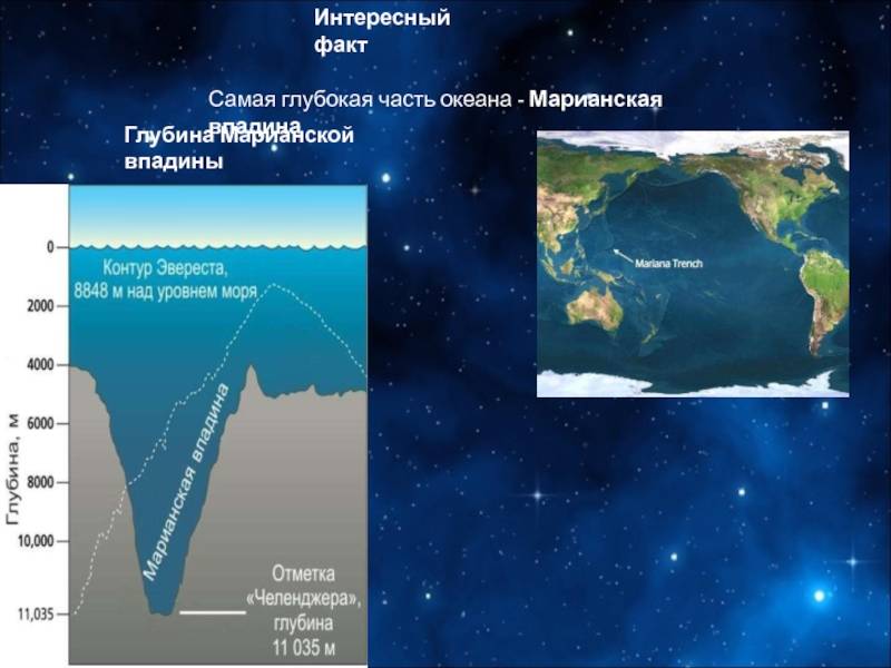 10 интересных фактов о марианской впадине - самом глубоком месте на земле :: инфониак