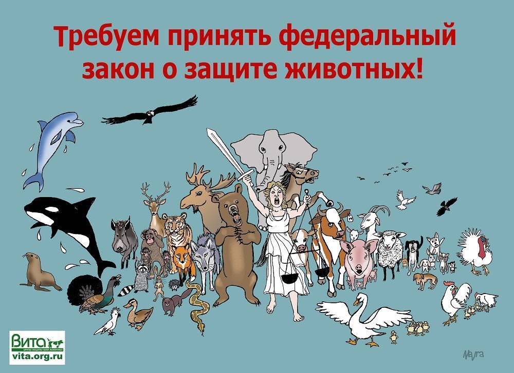 Какие права животных в россии? закон о защите прав животных в россии