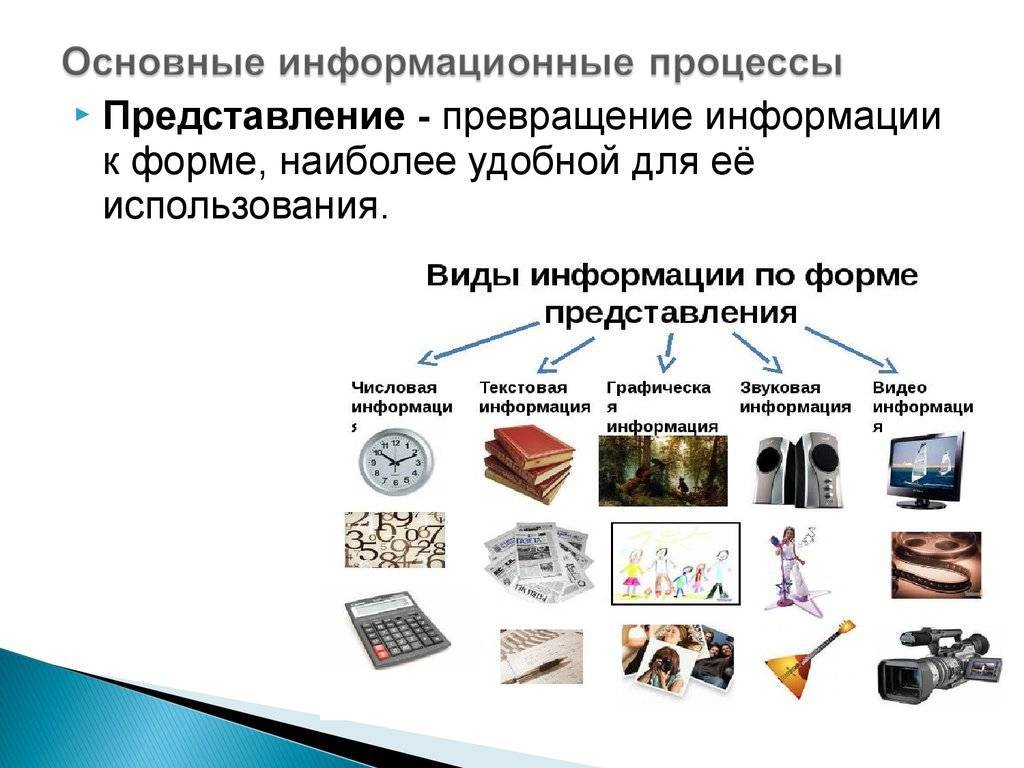 Информация и информационные процессы. доклад. информационное обеспечение, программирование. 2012-09-19