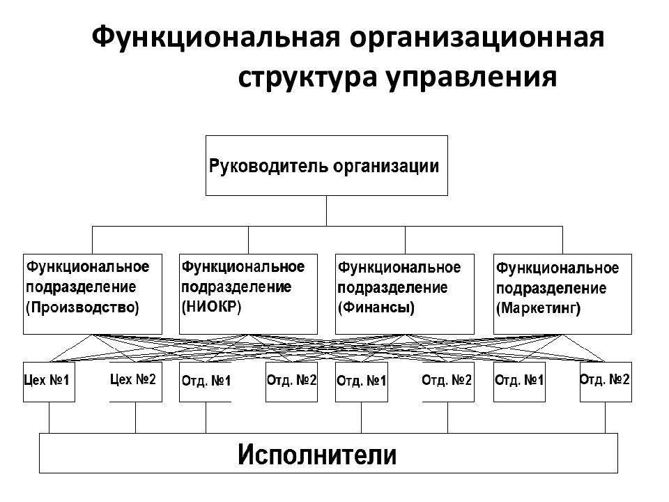 Линейно-функциональная структура управления: схема :: syl.ru
