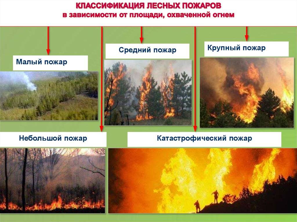 Определение пожара. виды и класс пожаров. организация тушения и последствия пожаров :: syl.ru